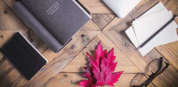 �C���}Ŀһ�������