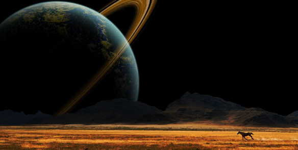 �،W����Փ�Ŀ���Ͷ���sci�s־����Щ