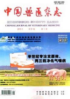 �ѹ��؈D15��12��28��1217_26.png