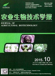 �r�I���＼�g�W��