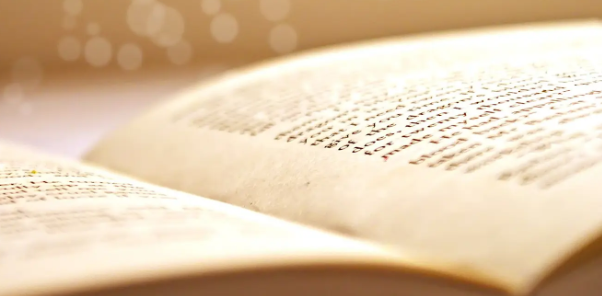 �����editor appointed��Bһ����