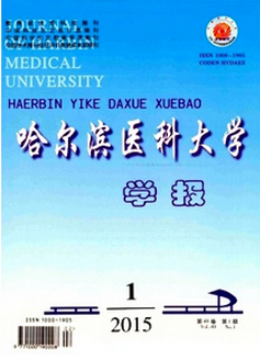 �ѹ��؈D15��12��23��1520_25.png