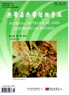ֲ�������c��������W�W��