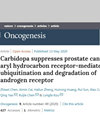 Oncogenesis�s־���п�Ժ�ׅ^