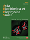 ACTA BIOCHIMICA ET BIOPHYSICA SINICA�ڿ������п�Ժ�օ^(q��)