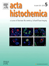 ACTA HISTOCHEMICA�п�Ժ�օ^