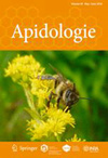 APIDOLOGIE�п�Ժ�ׅ^
