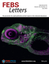 FEBS LETTERS�s־���п�Ժ�ׅ^