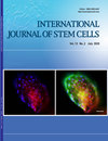 International Journal of Stem Cells�ڿ������п�Ժ�օ^