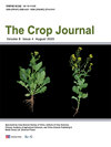 Crop Journal�ڿ������п�Ժ�օ^