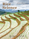 Rice Science�п�Ժ�օ^