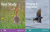 BIRD STUDY�п�Ժ�օ^