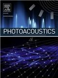 Photoacoustics�ڿ������п�Ժ�օ^