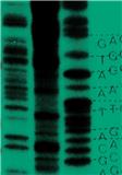 MICROBIAL GENOMICS�п�Ժ�ׅ^