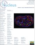 Nucleus�п�Ժ�օ^