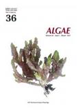 ALGAE�п�Ժ�օ^