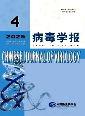 �����W(xu��)��