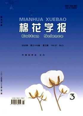�޻��W��